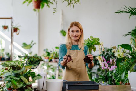 Foto de Foto retrato rubia propietaria en delantal mostrando cómo trasplantar una planta, sosteniendo tierra, planta, sonriendo a la cámara en la tienda llena de plantas verdes. - Imagen libre de derechos