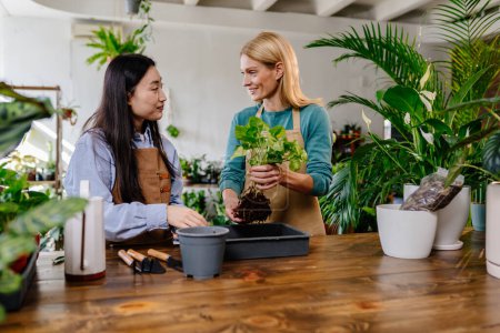 Photo for Transplanting process: two happy women enjoying work with green plant in the store using a watering can, garden tools, fresh soil on a wooden table. - Royalty Free Image