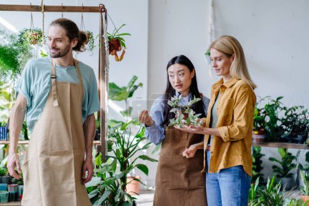Téléchargez les photos : Deux employés, une femme asiatique et un homme caucasien, aident une femme d'âge moyen à choisir une plante pour sa maison et expliquent comment prendre soin d'une fleur à l'intérieur d'un magasin de plantes. Plantes d'affaires, commencer - en image libre de droit
