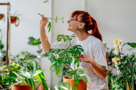 Photo for Young Caucasian red haired woman florist, plants lover, enjoy caring of home interiors plants in pots, plant care at home concept. Gardening persons caring for plants - Royalty Free Image