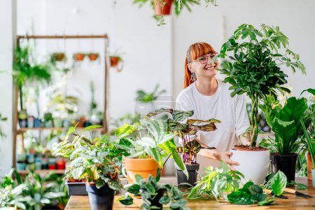 Téléchargez les photos : Concept de petite entreprise. Sourire positif fleuriste rousse jeune femme aux lunettes tenant une plante en pot. - en image libre de droit