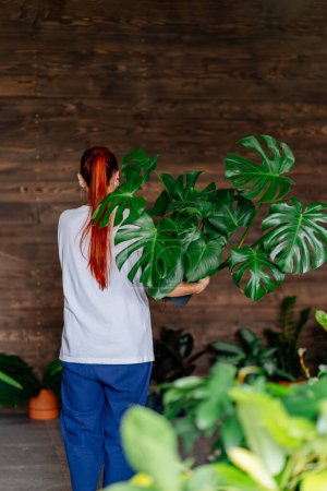 Téléchargez les photos : Plan vertical d'une jeune jardinière portant un t-shirt blanc, un jean bleu tenant une grande plante Monstera dans un pot en plastique. Jardinage à domicile, amour des plantes d'intérieur, freelance. concept - en image libre de droit