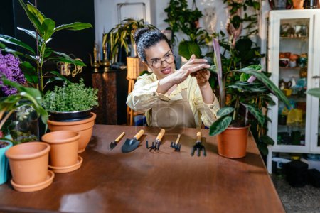 Photo for African American woman owner an ornamental garden to check the plants in a green house for sell. Portrait of charming female owner working and caring at her workplace. - Royalty Free Image