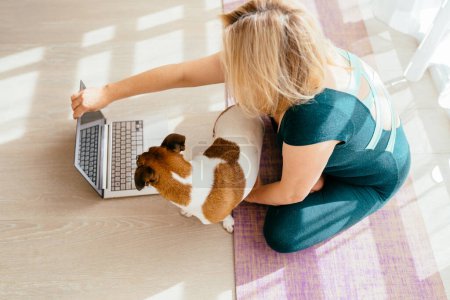 Photo for Healthy mature 55s woman training at home, watching online videos on laptop. Active dog Jack Russell wants to play, is in the way for her. Female connecting online yoga classes practicing exercise - Royalty Free Image