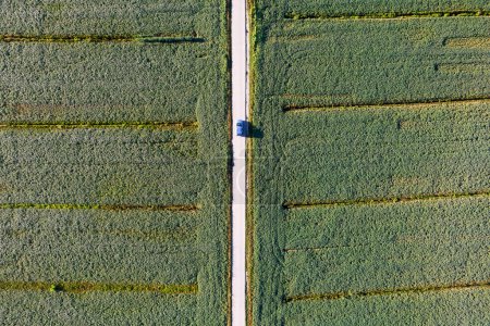 Foto de Aerial photographic documentation of a field dedicated to the cultivation of soybeans - Imagen libre de derechos