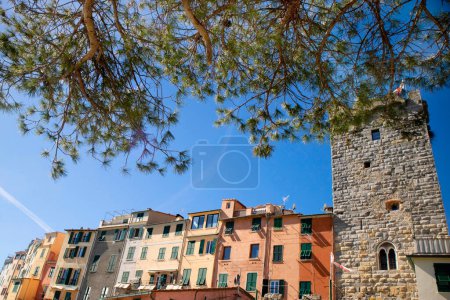 Téléchargez les photos : Documentation photographique du petit village coloré de Portovenere Liguria Italie - en image libre de droit