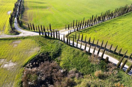 Téléchargez les photos : Documentation photographique aérienne d'une route blanche en Toscane Italie - en image libre de droit