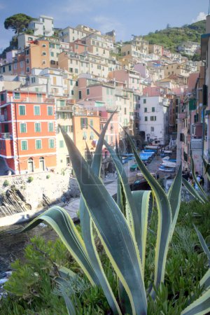 Téléchargez les photos : Documentation photographique de la ville colorée de Riomaggiore Ligurie Italie - en image libre de droit
