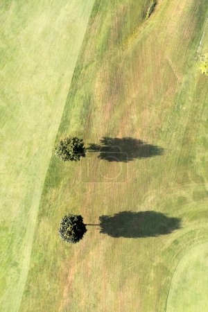 Foto de Documentación fotográfica de la sombra de un árbol tomada desde arriba - Imagen libre de derechos