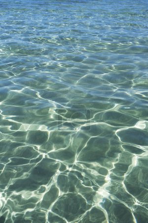 Téléchargez les photos : Documentation photographique de la transparence de l'eau de mer pendant la saison estivale - en image libre de droit