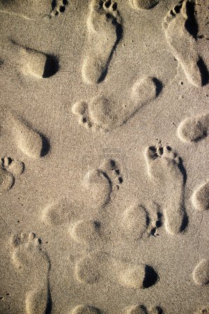 Photo for Photographic documentation footprints of people on gray sand - Royalty Free Image