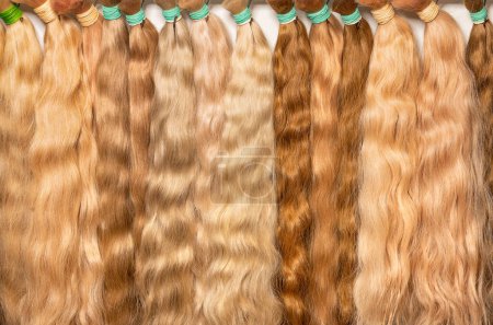 Téléchargez les photos : Des faisceaux de cheveux naturels ondulés et sains de couleur paille humaine dans différentes nuances pour les extensions et la fabrication de perruques. - en image libre de droit
