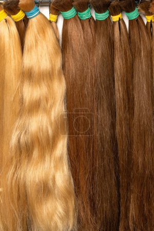 Téléchargez les photos : Cheveux naturels ondulés et droits humains dans des tons blonds et bruns en faisceaux avec différentes nuances sont utilisés dans l'industrie de la beauté pour les extensions. Image verticale. - en image libre de droit