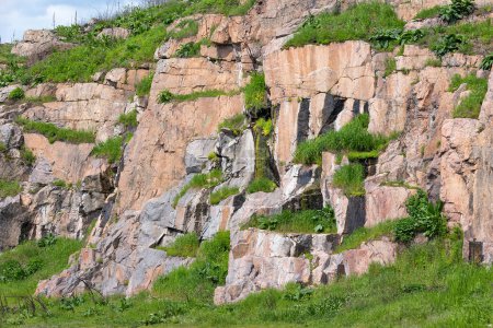 Foto de Acantilados de basalto de piedra cubierta de vegetación verde exuberante y hierba. - Imagen libre de derechos