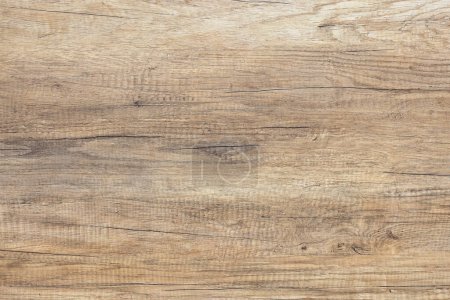Photo for High resolution natural wood texture. Wooden background. Wood texture with cracks and expressive grains. - Royalty Free Image