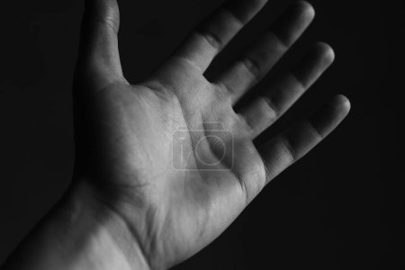 Téléchargez les photos : Main d'homme sur fond noir. Palmier mâle. - en image libre de droit