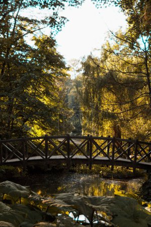Foto de Increíblemente hermoso puente de madera en el jardín - Imagen libre de derechos
