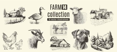 Illustration for Rural meadow or countryside farm set. A village landscape with cows, goats and lamb, hills and a farm. - Royalty Free Image