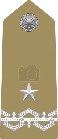 Téléchargez les illustrations : Shoulder pad military officer insignia of the Italy GENERALE DI BRIGATA (BRIGADIER GENERAL) - en licence libre de droit