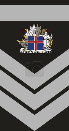 Téléchargez les illustrations : Épaulière marque d'officier militaire pour le grade d'officier de 1re CATÉGORIE FLOKKSTJRI 1 au sein de l'Unité de réponse aux crises de l'Islande - en licence libre de droit