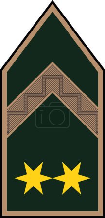 Téléchargez les illustrations : Épaulière marque d'officier militaire pour le grade d'insigne TRZSZSZLS (Officier Gardien Principal) dans les forces terrestres hongroises - en licence libre de droit