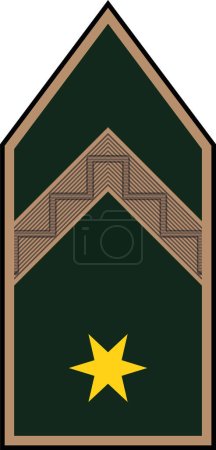 Téléchargez les illustrations : Épaulière marque d'officier militaire pour l'insigne ZSZLS (WARRANT OFFICER) dans les forces terrestres hongroises - en licence libre de droit