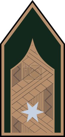 Téléchargez les illustrations : Épaulière marque d'officier militaire pour le grade d'insigne RNAGY (MAJOR) dans les forces terrestres hongroises - en licence libre de droit