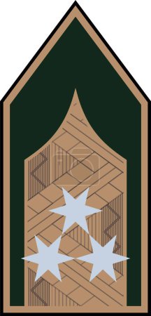 Téléchargez les illustrations : Épaulière marque d'officier militaire pour l'insigne EZREDES (COLONEL) dans les forces terrestres hongroises - en licence libre de droit