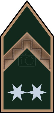 Téléchargez les illustrations : Épaulière marque d'officier militaire pour le grade d'insigne TRZSRMESTER (SERGENT D'ÉTAT-MAJOR) dans les forces terrestres hongroises - en licence libre de droit