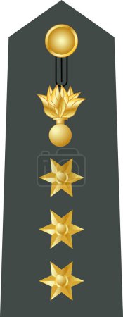 Téléchargez les illustrations : Épaulière marque d'officier militaire pour le grade d'insigne SYNTAGMATARHIS (COLONEL) dans l'armée hellénique - en licence libre de droit