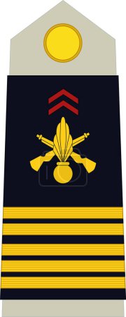 Téléchargez les illustrations : Épaulière marque d'officier militaire pour le grade d'insigne COLONEL dans l'armée française - en licence libre de droit