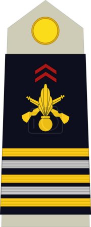 Téléchargez les illustrations : Épaulière marque d'officier militaire du grade d'insigne du LIEUTENANT-COLONEL (LIEUTENANT COLONEL) dans l'armée française - en licence libre de droit