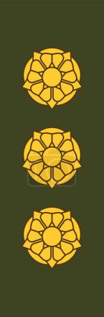 Téléchargez les illustrations : Épaulière marque d'officier militaire pour le grade d'insigne EVERSTI (COLONEL) des rangs militaires finlandais - en licence libre de droit