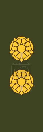 Téléchargez les illustrations : Épaulière marque d'officier militaire pour l'insigne EVERSTILUUTNANTTI (LIEUTENANT COLONEL) du grade militaire finlandais - en licence libre de droit