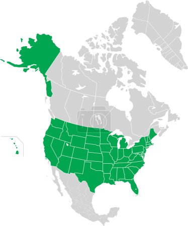 Illustration for Green detailed blank political map of the UNITED STATES with white state borders on transparent background using orthographic projection of the light grey North American continent - Royalty Free Image