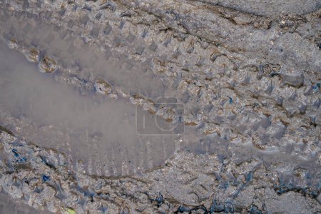 Photo for Close up of tire tracks on the sand on the coast - Royalty Free Image