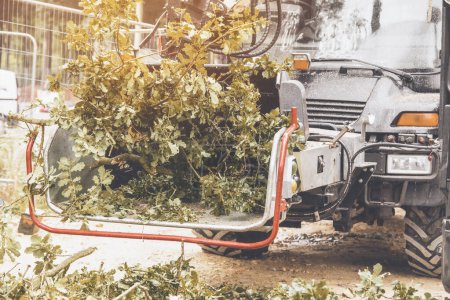 Photo for Arborist using a wood chipper machine for shredding trees and branches. The tree surgeon is wearing a safety helmet with a visor and ear protectors - Royalty Free Image