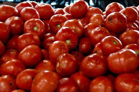 Photo for Ripe red tomatoes for sale at market place Georgia, USA - Royalty Free Image