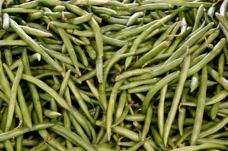Photo for Organic fresh green string beans displayed at market place. - Royalty Free Image