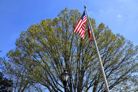 American Flag wave by a tree background