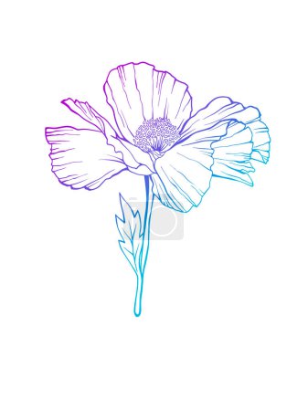 Illustration for White poppy flower. Isolated flower as a design element. Hand drawn sketch style. Line art. Ink drawing. Vector illustration. Tattoo design. - Royalty Free Image