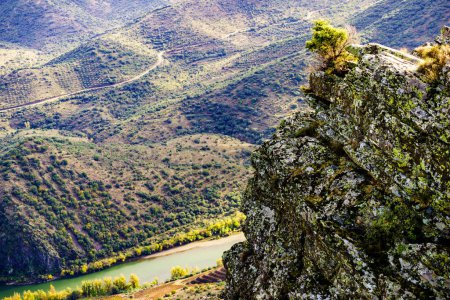 Douro river landscape. Border between Portugal and Spain. National Parks. View from Penedo Durao lookout.