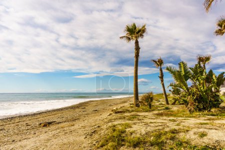 Photo for Seaside landscape. Carchuna sandy beach with palm trees. Costa tropical, province Granada. Andalucia Spain. - Royalty Free Image