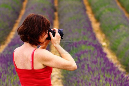 Mature tourist woman with camera taking travel photo from Provence landscape with lavender fields, Plateau Valensole, Alpes de Haute Provence in France