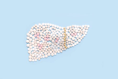 Photo for Liver made of pills. Liver  antiviral treatment of Hepatitis concept. - Royalty Free Image