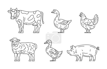 Ilustración de Animales de granja línea iconos de diseño. Vaca, ganso, pato, gallina, oveja, ilustraciones de cerdos. Animales domésticos iconos vector accidente cerebrovascular editable. Línea de la granja iconos - Imagen libre de derechos