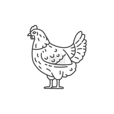 Illustration for Farm animal hen line icon design. Chicken illustration. Domestic animal icon vector editable stroke. Hen line icon - Royalty Free Image