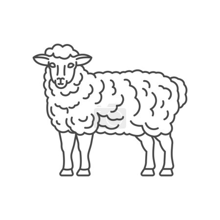 Téléchargez les illustrations : Animaux de ferme ligne de moutons icône design. Illustration de moutons. Animal domestique icône vecteur course modifiable. Ligne de moutons icône - en licence libre de droit