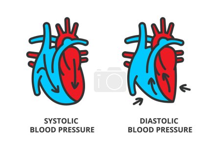 Illustration for Systolic Blood Pressure and Diastolic Blood Pressure icons in line design, red and blue. Pressure, Systolic, Skills, Diastolic, Heart vector illustrations. Medical illustrations editable stroke icons - Royalty Free Image