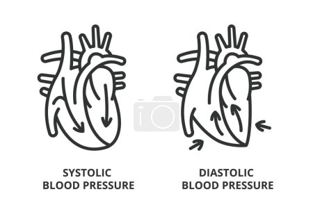 Systolischer Blutdruck und Diastolischer Blutdruck im Liniendesign. Druck, Systolisch, Fertigkeiten, Diastolisch, Herzvektorillustrationen. Medizinische Illustrationen editierbare Schlaganfall-Symbole